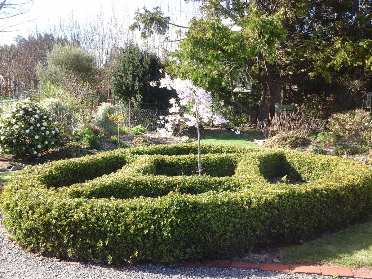 Folster Gardens Bed&Breakfast Invercargill Eksteriør billede