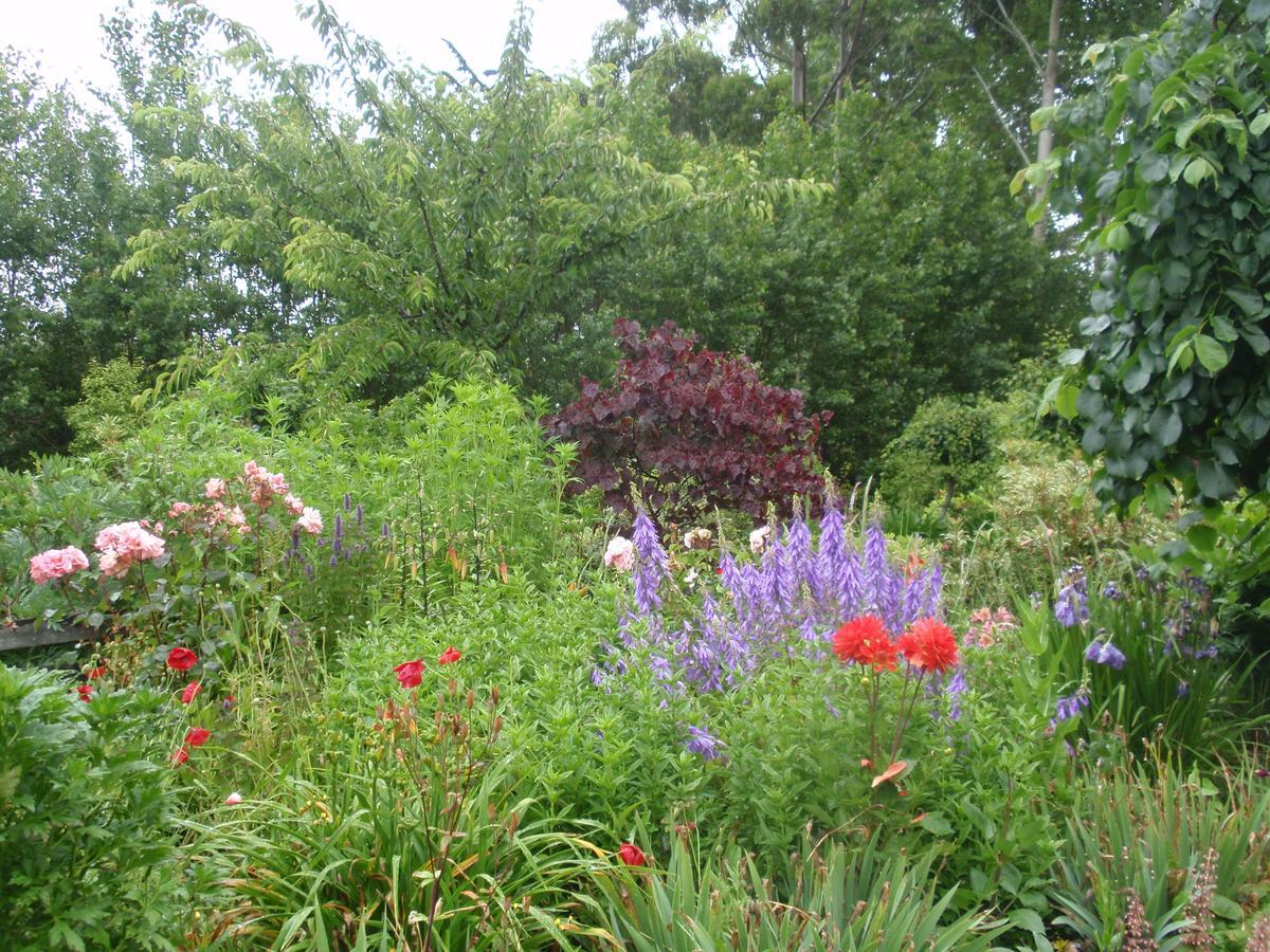 Folster Gardens Bed&Breakfast Invercargill Eksteriør billede